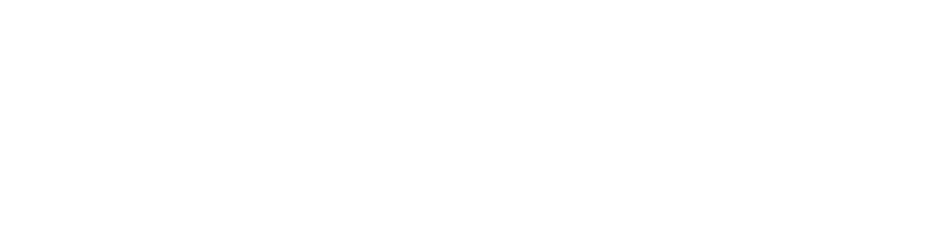 Car Shield Blindagens